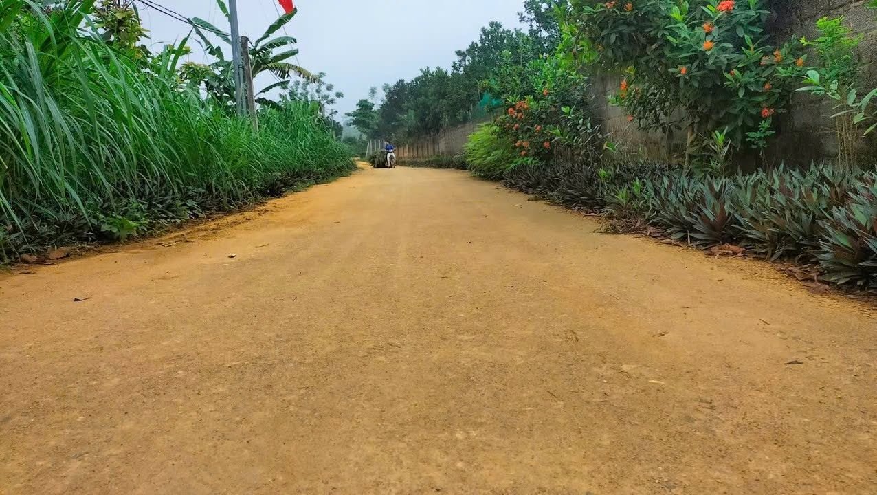 Đất nền Khánh Thượng Ba Vì 967m² giá 2 tỷ - Đầu tư sinh lời lý tưởng!