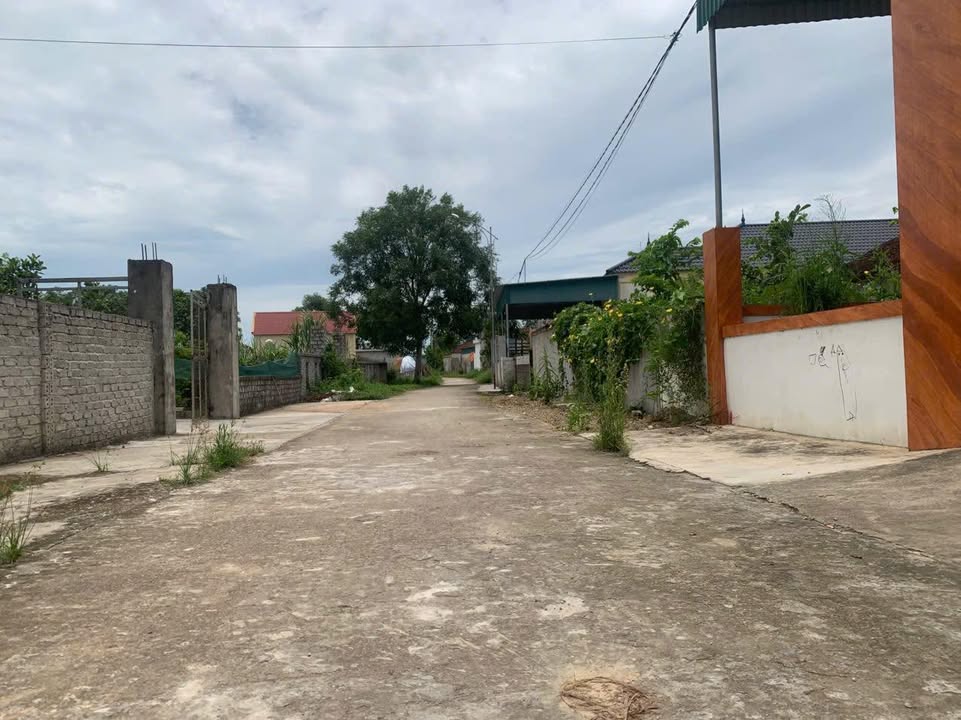 Đất nền Tân Thành, Yên Thành 416m² chỉ 1 tỷ - Cơ hội đầu tư tuyệt vời!