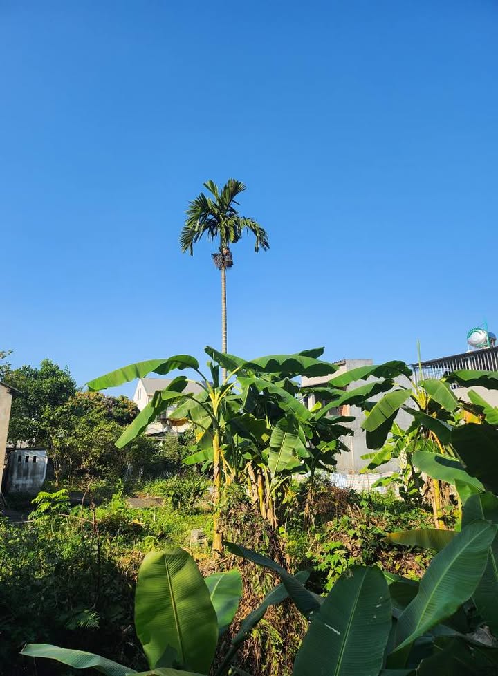 Đất nền Tuyên Quang 212.8m² giá 2 tỷ - Đường thông thoáng, gần khu đô thị!