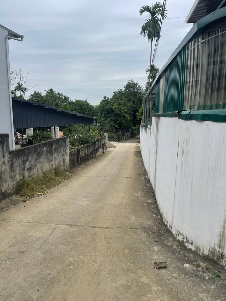 Đất nền Hưng Kiều 1, Tuyên Quang 79.8m² giá 1 tỷ - Đường ô tô vào tận nơi!