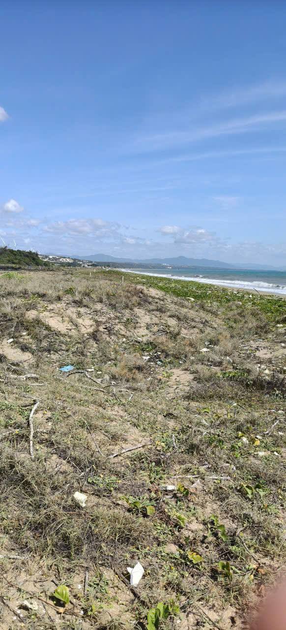 Đất mặt biển xã Hòa Thắng, Bắc Bình, Bình Thuận 4000m² giá 1 tỷ - Cơ hội đầu tư sinh lời!