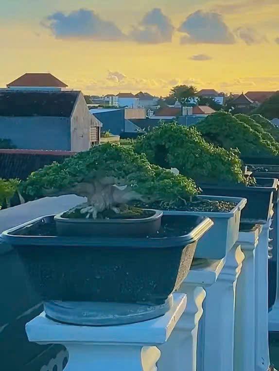 Nhà mặt tiền Đại Lộ Võ Nguyên Giáp, Cái Răng, Cần Thơ 250m² giá 23 tỷ - Đầu tư sinh lời ngay!