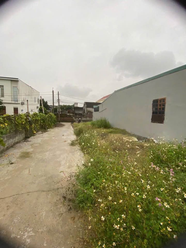 Đất Nền Ngõ 141 Phạm Thận Duật 50m² giá Thương lượng - Nhanh tay sở hữu!