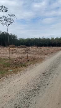 Đất nền Vĩnh Tân 439m² giá 900 triệu - Đầu tư sinh lời ngay!