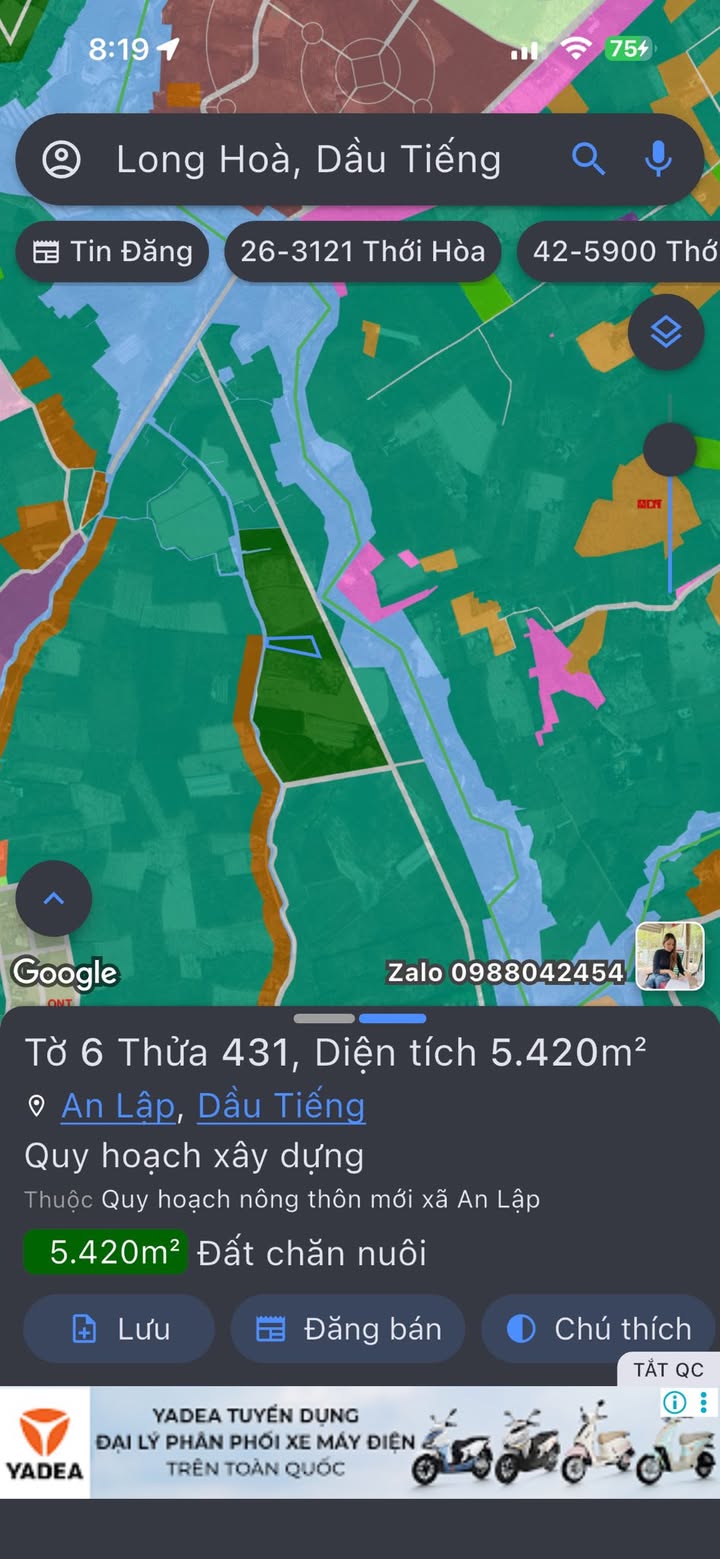 Đất nông nghiệp 2 hecta Long Hoà Dầu Tiếng giá 4 tỷ - Phù hợp làm trang trại