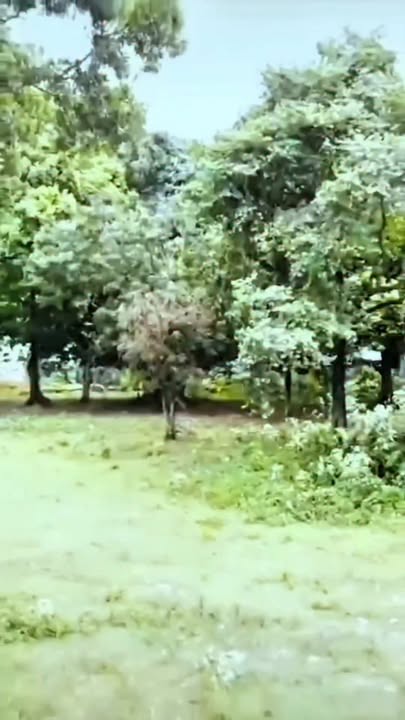 Đất vườn Nhuận Trạch Lương Sơn 5000m² giá rẻ - Sát hồ Tây, view đẹp!