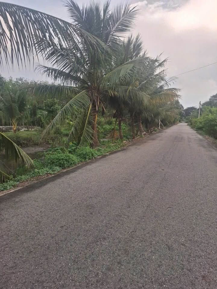 Đất nền An Điền Bến Cát 560m² giá 2 tỷ - Cơ hội đầu tư sinh lời!