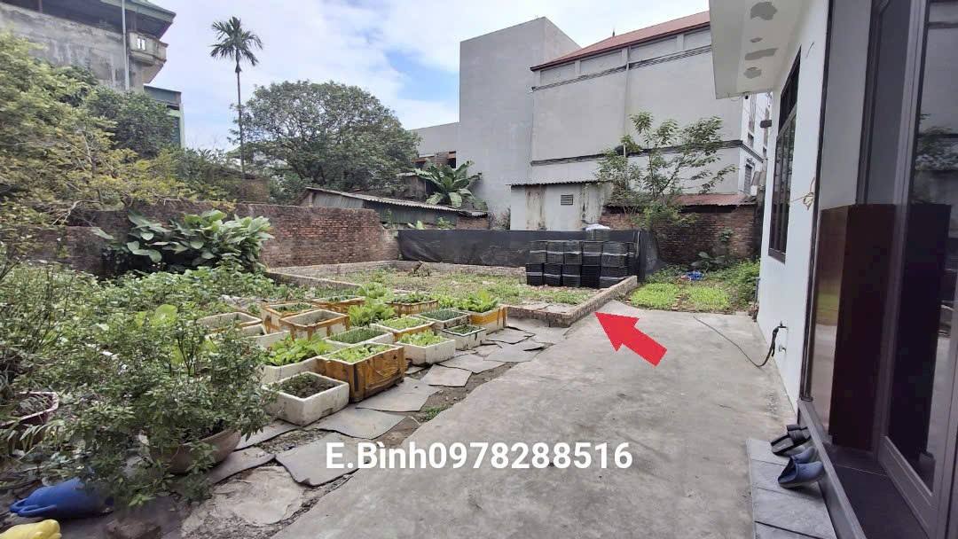 Đất Cổ Dương, Tiên Dương, Đông Anh 48,7m² - Sổ đỏ chính chủ, pháp lý rõ ràng!