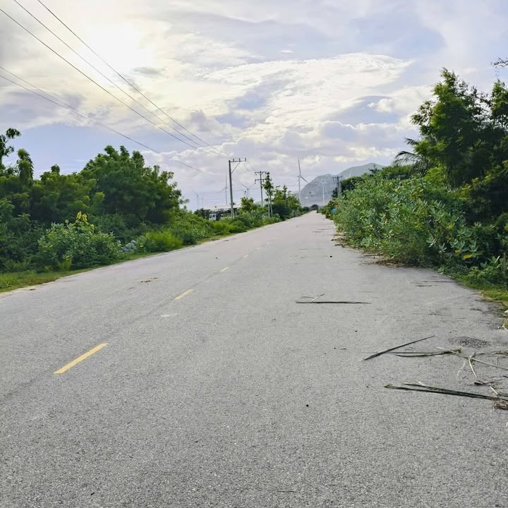 Đất nền mặt đường QL27B, xã Phước Tiến, 5000m² - Giá chỉ 2 tỷ!