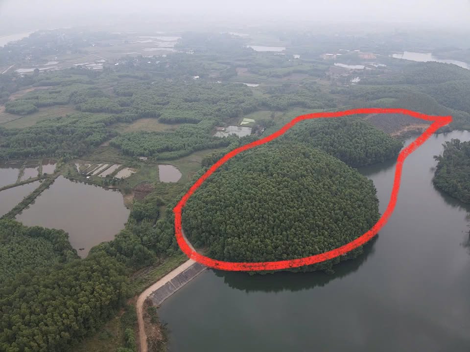 Đất rừng xã Xuân Áng Hạ Hòa 20.000m² giá 1 tỷ - Cơ hội đầu tư hấp dẫn!