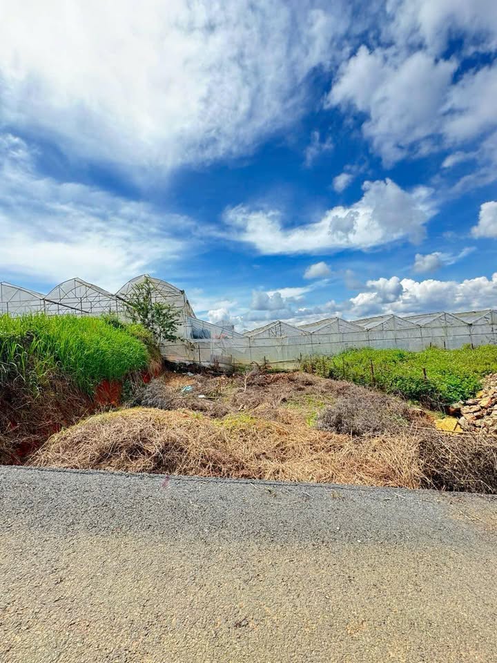 Đất nền xây dựng Thái Phiên Đà Lạt 206.54m² - Hướng Tây Bắc, mặt tiền rộng rãi!