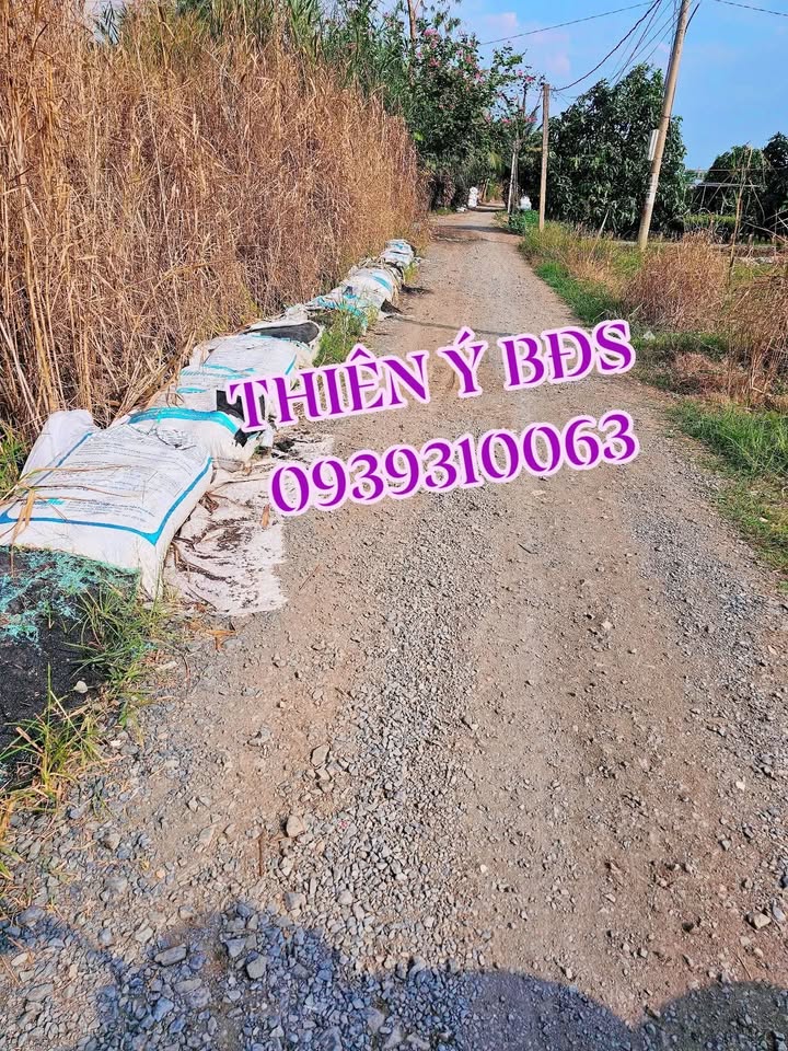 Đất nền xã Tân Dương 5800m² giá 2.61 tỷ - Pháp lý rõ ràng, sẵn sàng đầu tư!