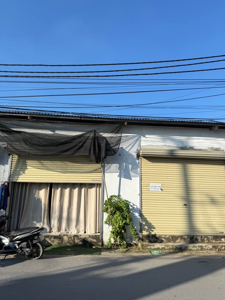 Đất thổ cư 65m² Tân Phú, Quốc Oai - Mặt đường lớn, kinh doanh sầm uất!