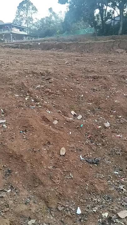 Đất nền Phù Ninh 208m² giá thỏa thuận - Nở hậu, ô tô vào tận nơi!