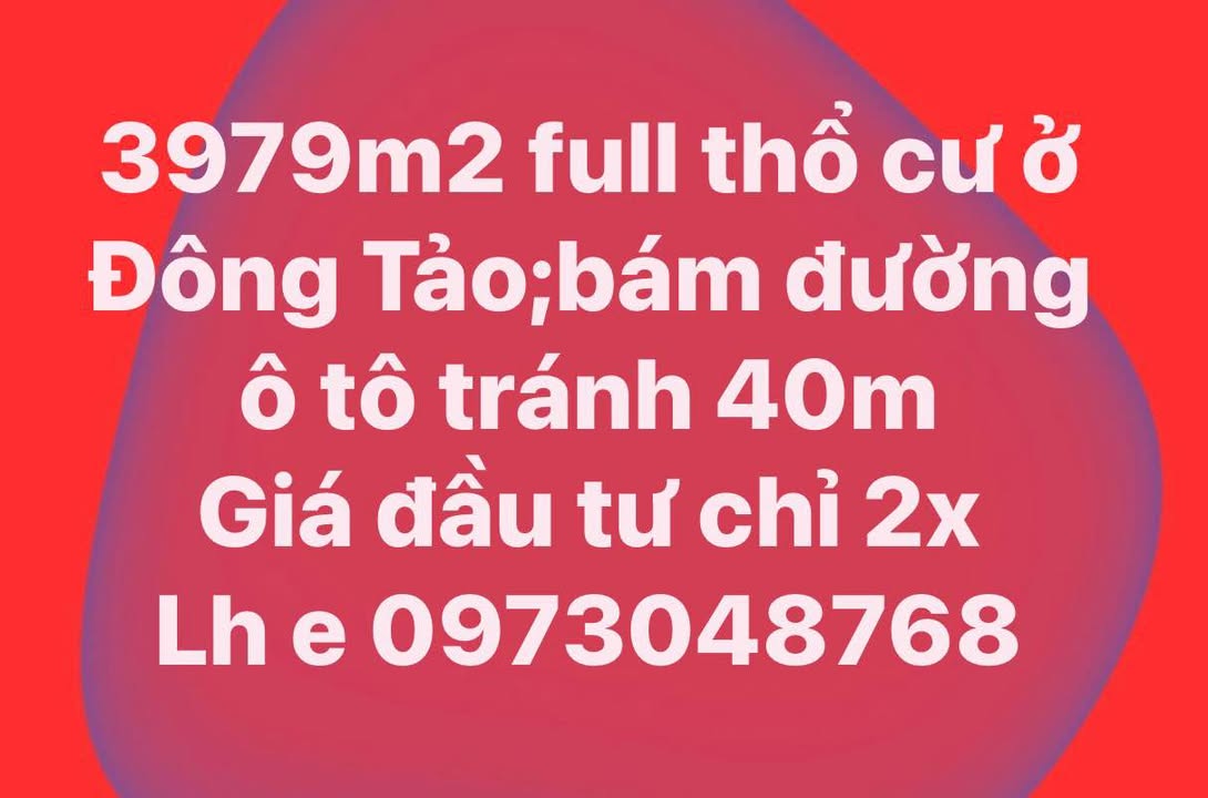 Đất nền Đông Tảo 3979m² giá đầu tư chỉ 2x - Vị trí đắc địa cho tương lai!