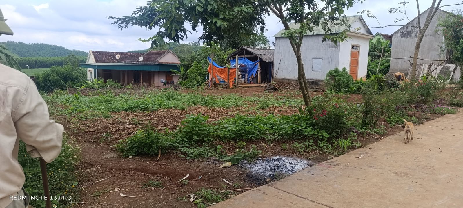 Đất nền Nghĩa Thọ 420m² giá chỉ 3xx triệu - Phân lô dễ dàng, đầu tư sinh lời!