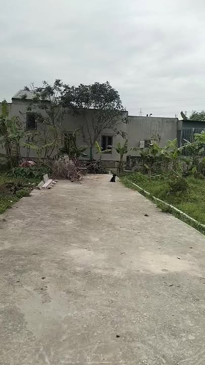 Đất nền Quỳnh Thiện Hoàng Mai 162m² giá thỏa thuận - Cơ hội đầu tư tuyệt vời!