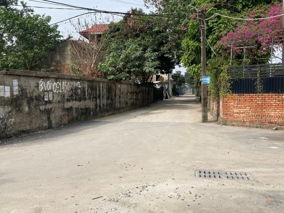 Đất nền Nam Hồng, Đông Anh 86m² giá chỉ từ 6x triệu - Tiềm năng sinh lời cao!