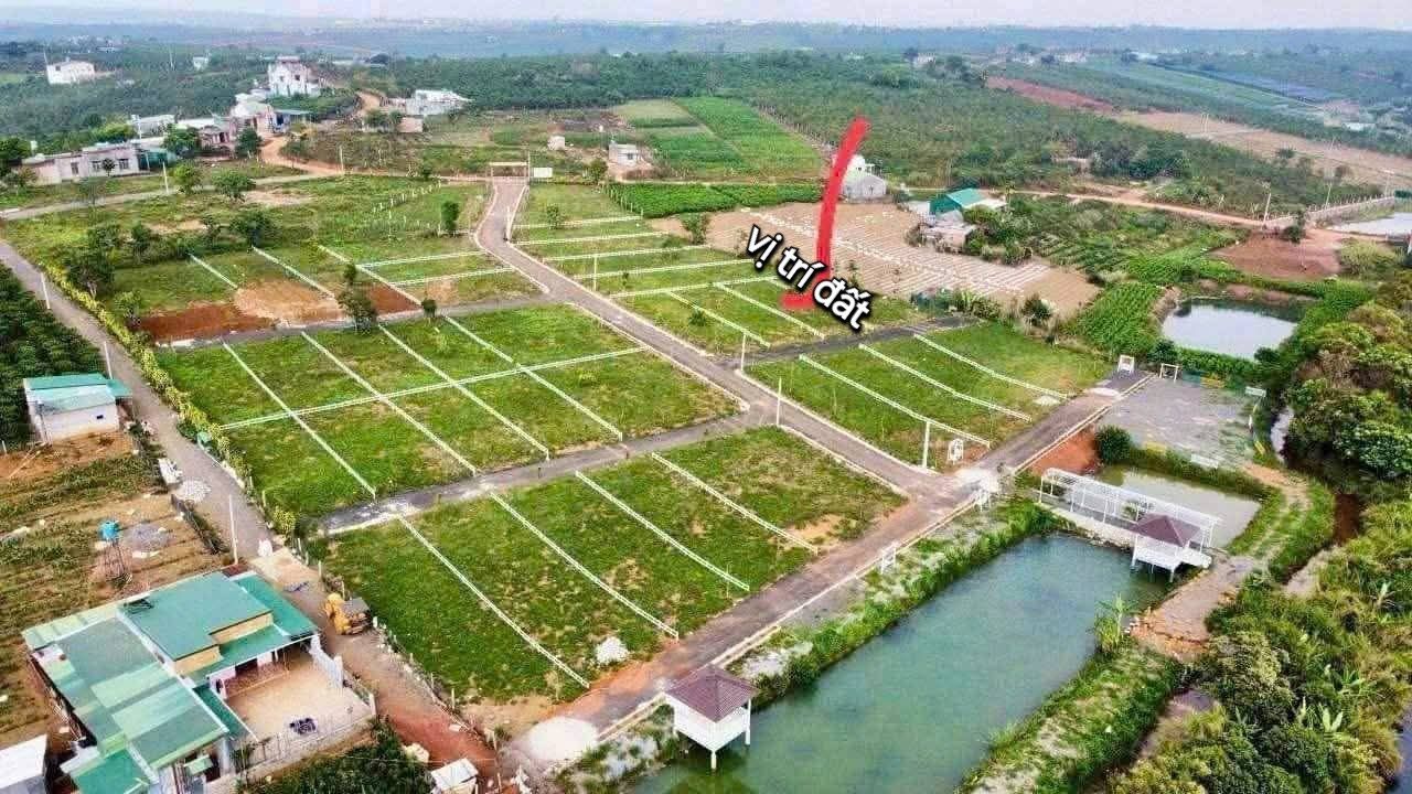 Đất nền Bảo Lộc 260m² giá 870 triệu - Đầu tư sinh lời ngay!