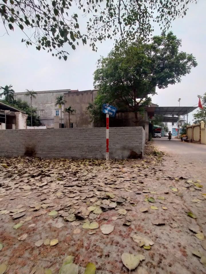 Đất nền Thường Tín 225m² giá thỏa thuận - Cơ hội đầu tư đỉnh cao!