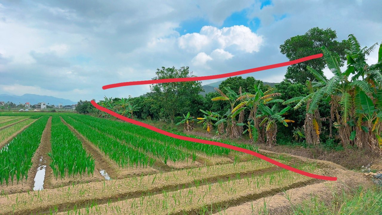 Đất trồng cây ăn quả tại Bình Khê, Đông Triều 5000m² giá 600 triệu - Đường ô tô vào thoải mái!