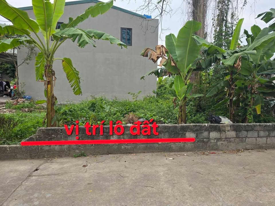Đất nền kinh doanh trục chính Thư Phú, xã Chương Dương, Thường Tín 44m² - Tiềm năng phát triển vượt trội!