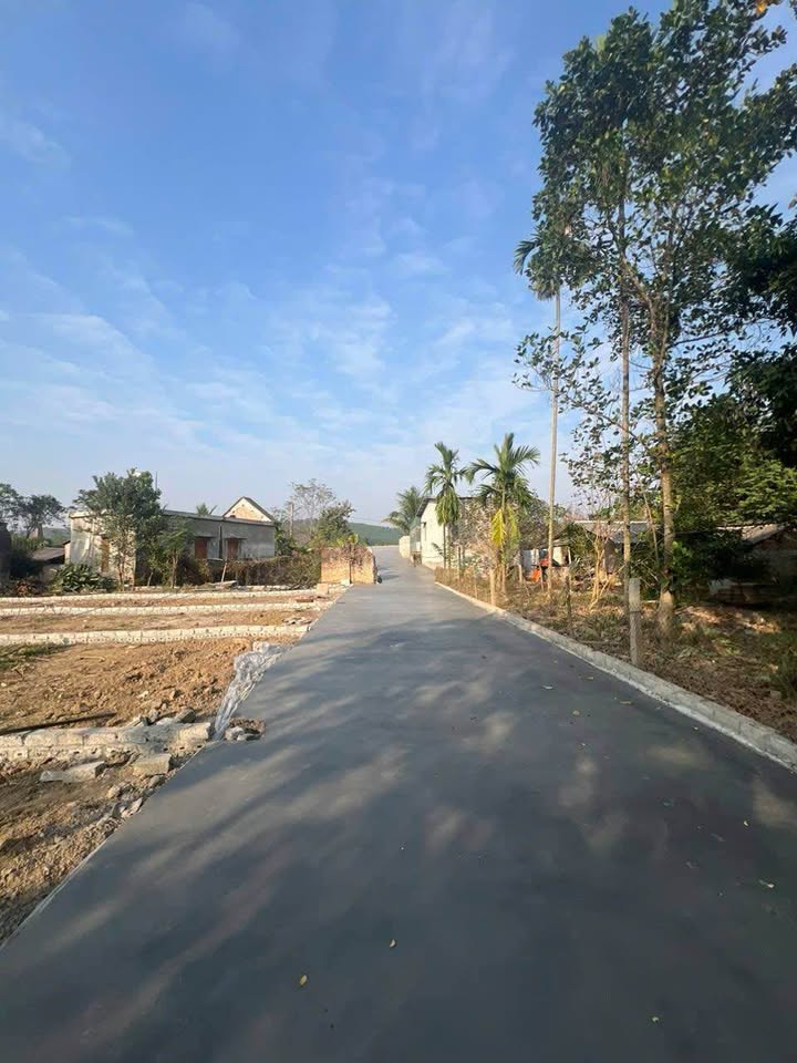 Đất An Tường Tuyên Quang 90m² giá chỉ 500 triệu - Đầu tư sinh lời ngay!