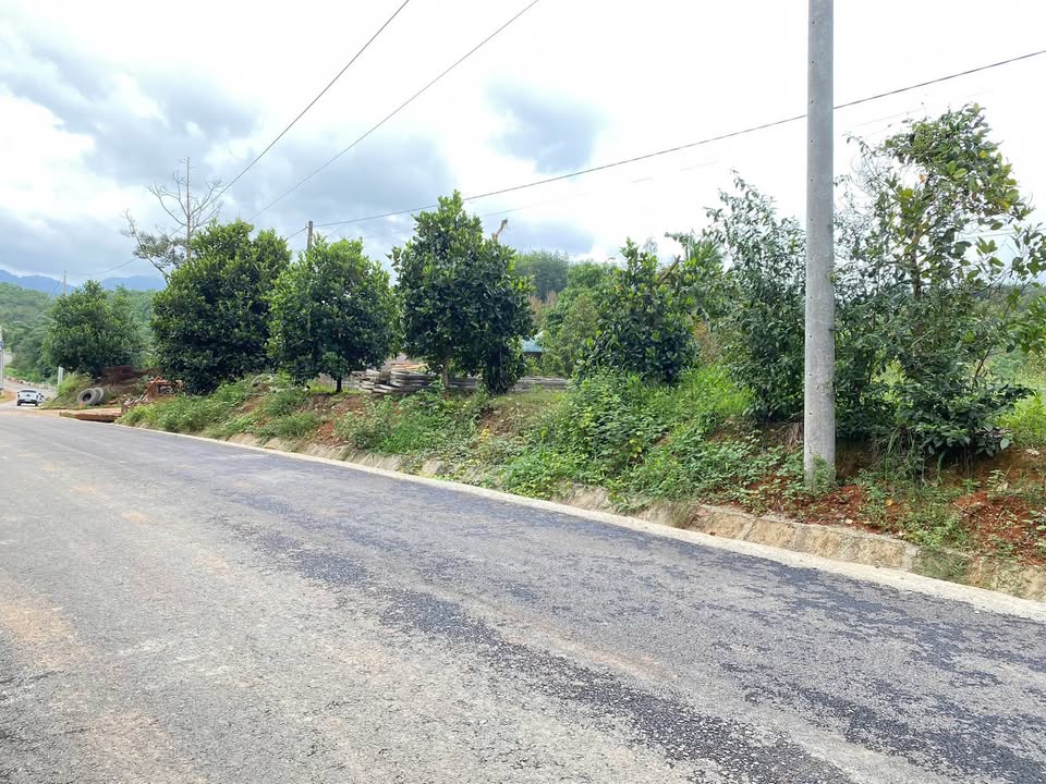 Đất nền Đoàn Kết, Đạ Huoai 3339m² - Mặt tiền rộng, đầu tư sinh lời!