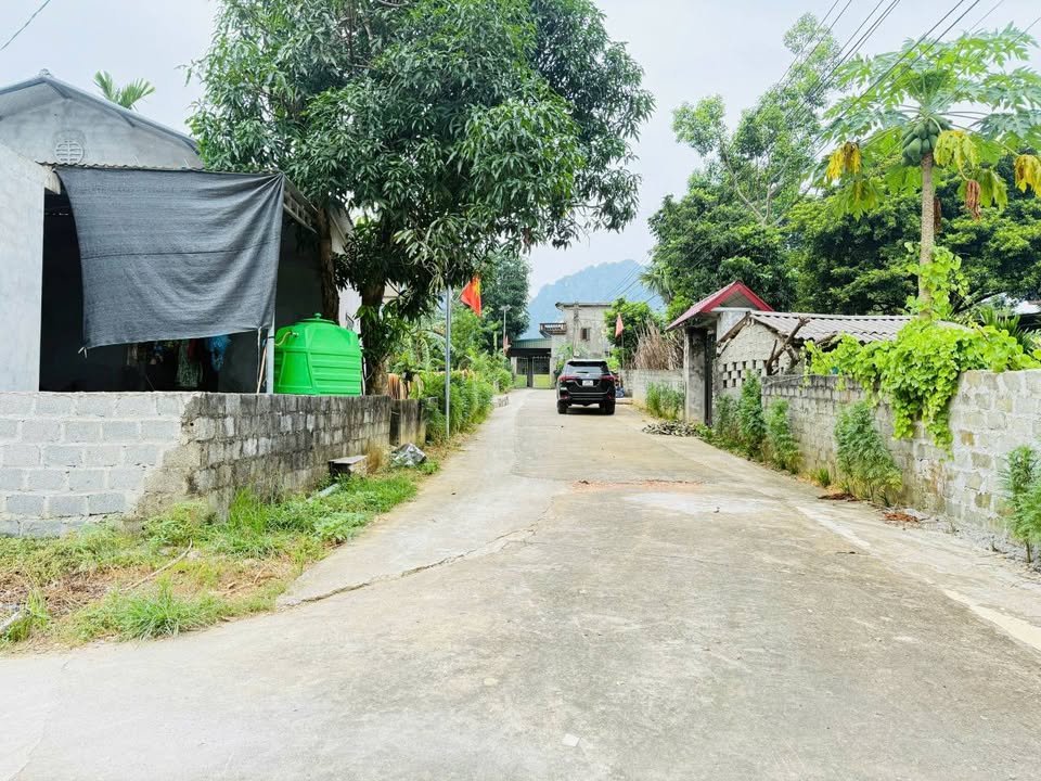 Đất thổ cư Kim Bôi Hòa Bình 139,7m² giá chỉ 500 triệu - Cơ hội đầu tư tuyệt vời!