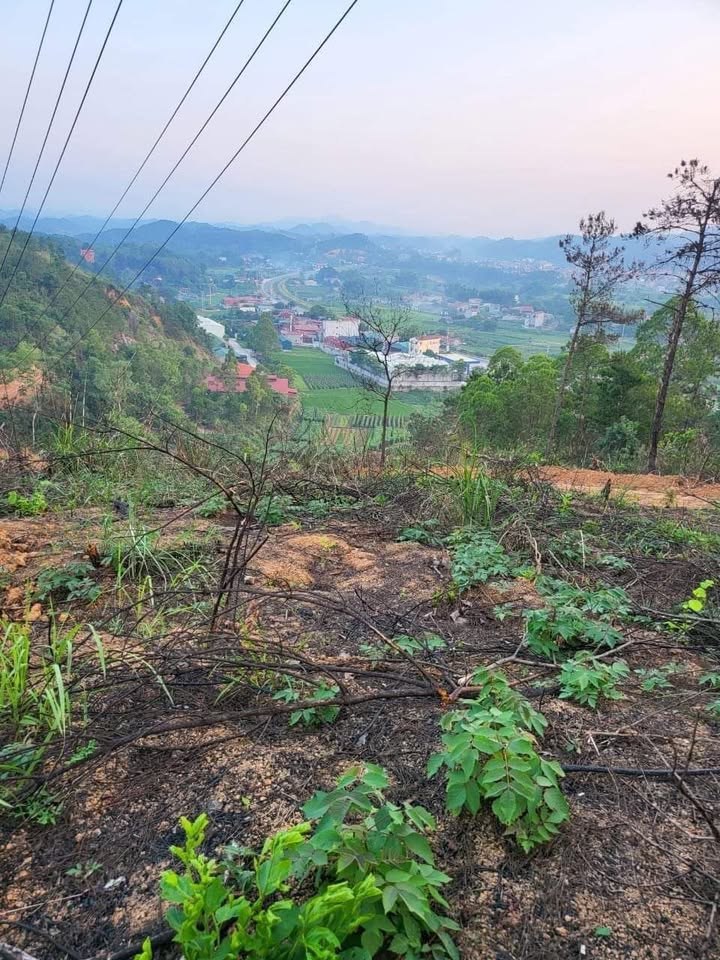 Bán đất đồi đẹp tại Lạng Sơn 26.000m² - Giá cực rẻ chỉ từ 1 triệu/m²!