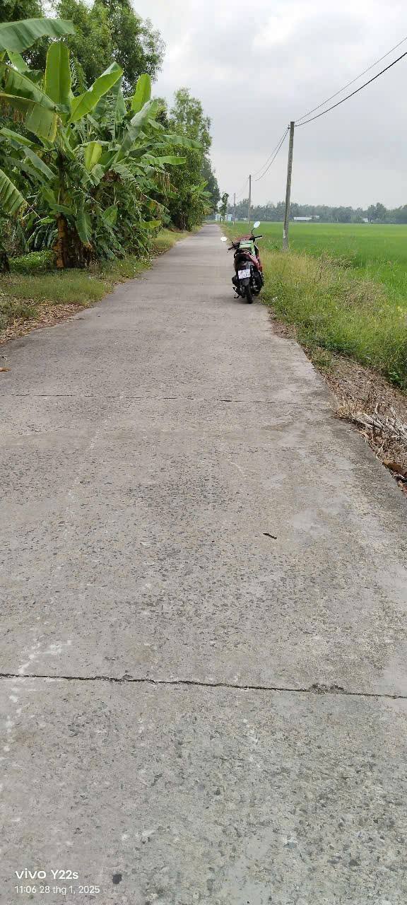 Đất nền 5600m² tại Vị Tân, Vị Thanh - Giá chỉ 2.59 tỷ - Pháp lý rõ ràng!