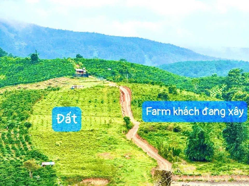 Đất nền Gung Ré Di Linh 425,2m² giá 599 triệu - View thiên nhiên tuyệt đẹp!