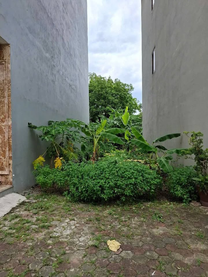 Đất phân lô Đồng Mai 50m² giá 7.35 tỷ - Ô tô vào tận nhà, sổ đỏ chính chủ!