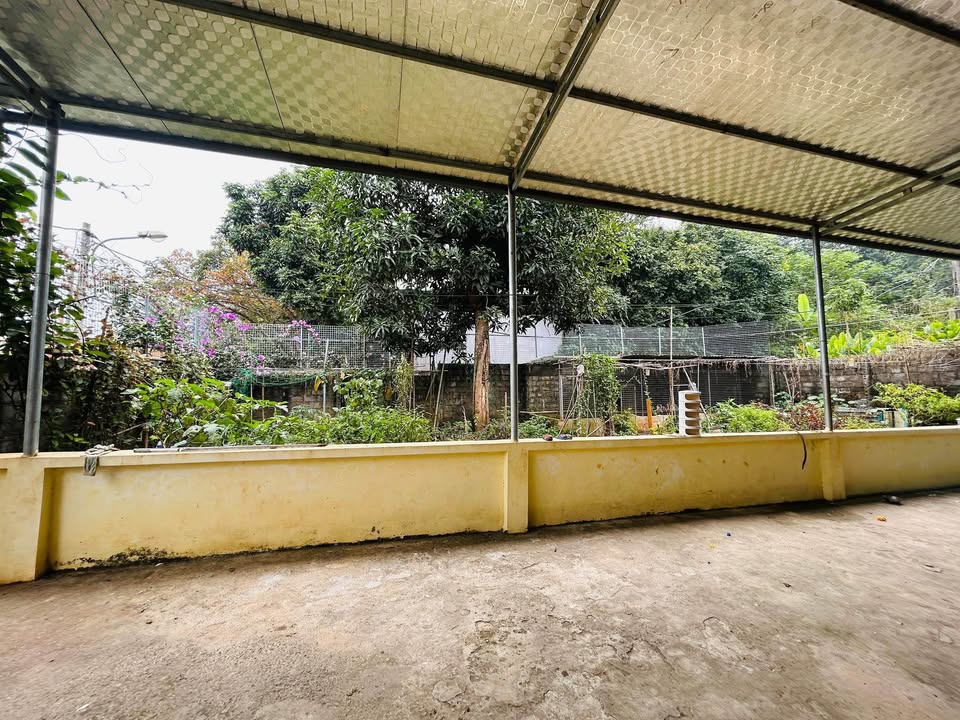 Bán nhà đất đẹp phường Thống Nhất Hòa Bình 300m² - Sẵn sàng về ở ngay!