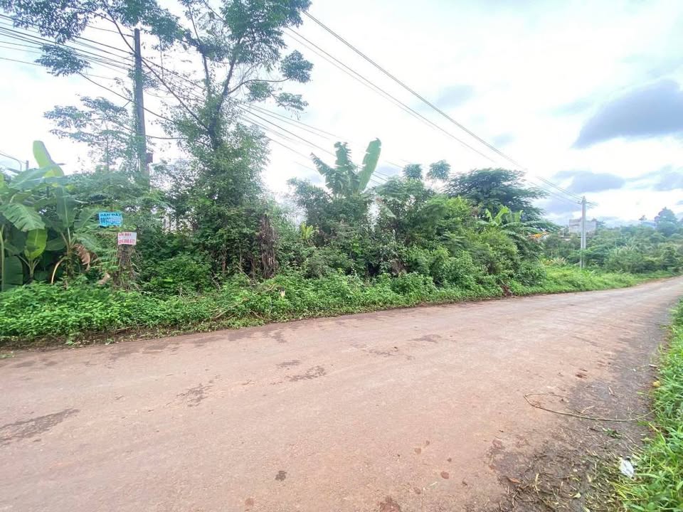 Đất thổ cư mặt tiền Nguyễn Xuân Nguyên, Tân An 3678m² giá 5.1 tỷ - Đầu tư sinh lời tiềm năng!