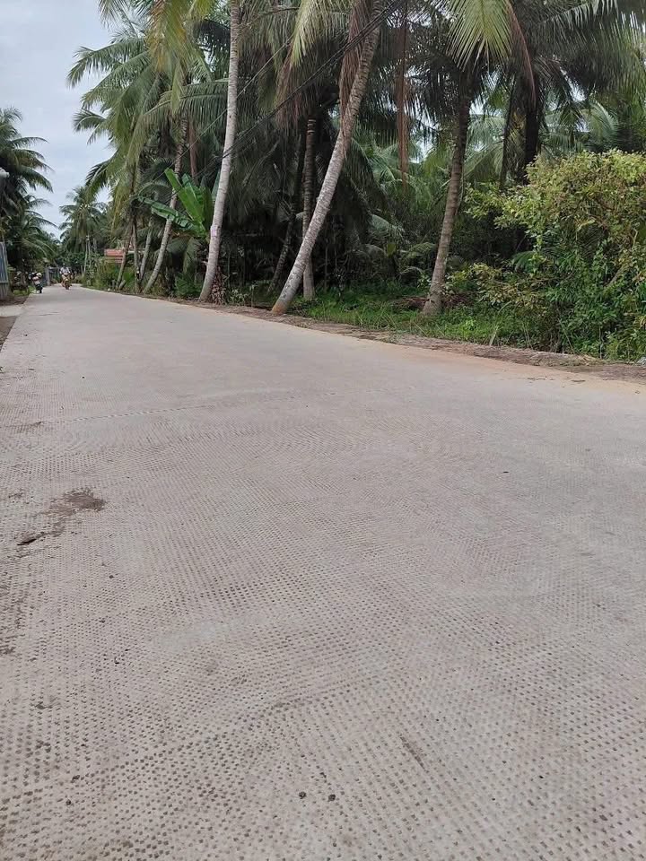 Đất nền Tân Thành Bình 916m² giá 700 triệu - Đường ô tô thông thoáng, xây nhà trọ lý tưởng!