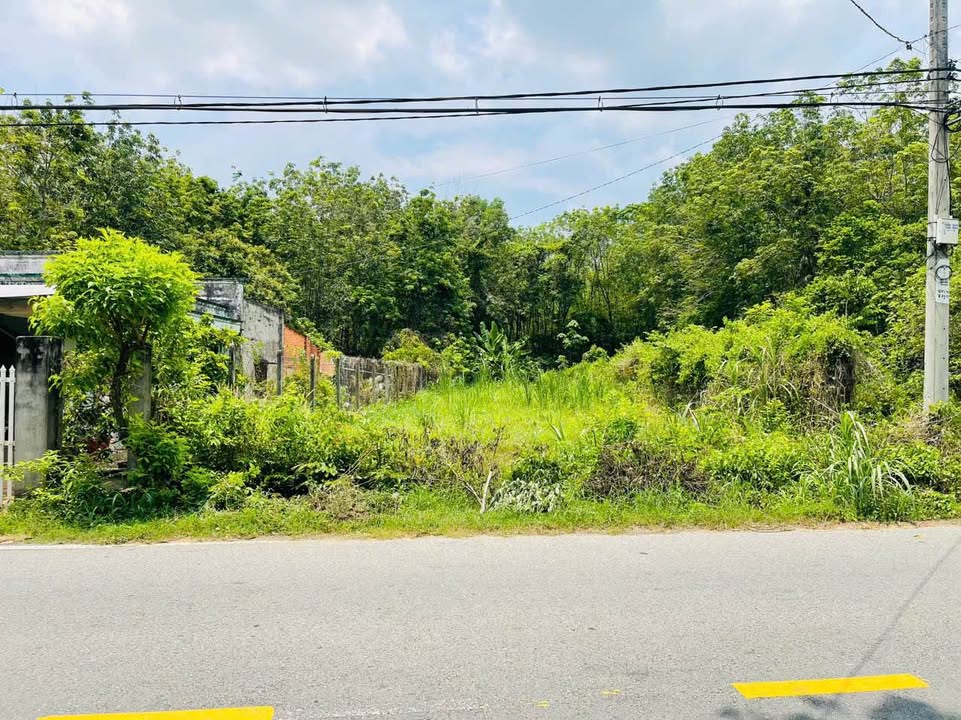 Đất nền Củ Chi 505m² giá 5 tỷ - Sổ riêng, xây dựng tự do!