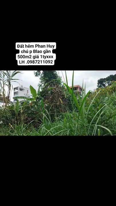 Đất nền B'lao Bảo Lộc 500m² giá 1 tỷ - Cơ hội đầu tư nghỉ dưỡng tuyệt vời!