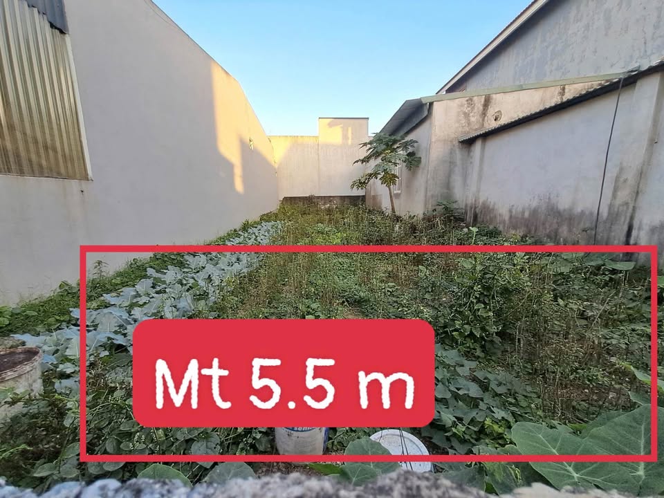 Lô đất đẹp Quảng Phú 110m² giá 800 triệu - Cần tiền bán gấp!