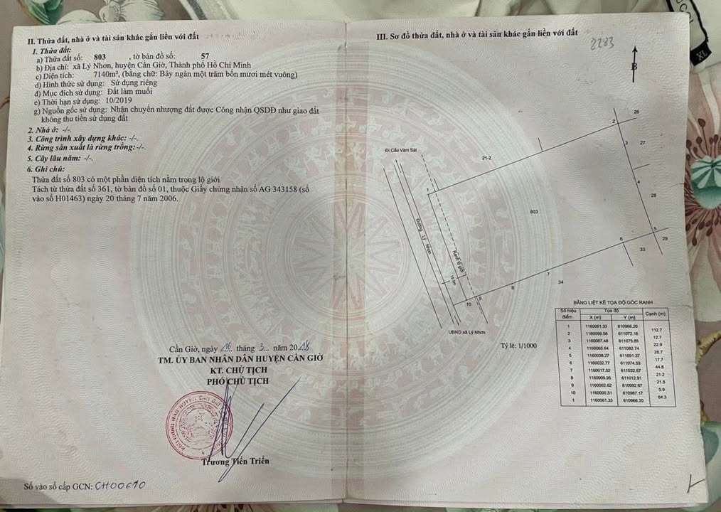 Đất nền Cần Giờ 16174m² - Mặt tiền đường Lý Nhơn, cơ hội đầu tư sinh lời!