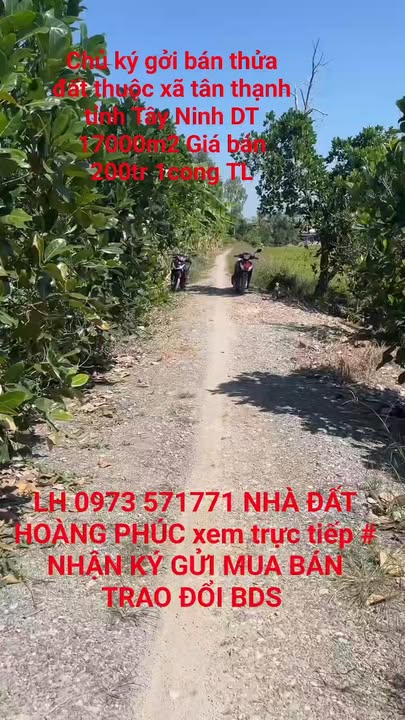 Đất nền Tân Hòa Lập, Tân Thạnh, Long An 17.000m² - Mặt tiền 100m, giá thỏa thuận!