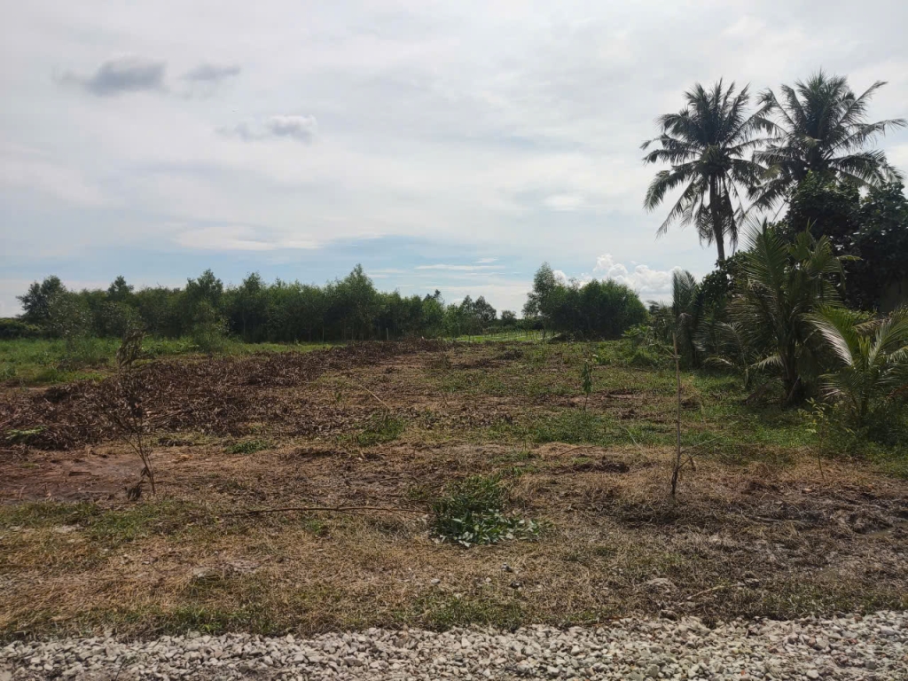 Đất nền Dương Minh Châu 155m² giá 490 triệu - Đầu tư thông minh với vị trí tiềm năng!