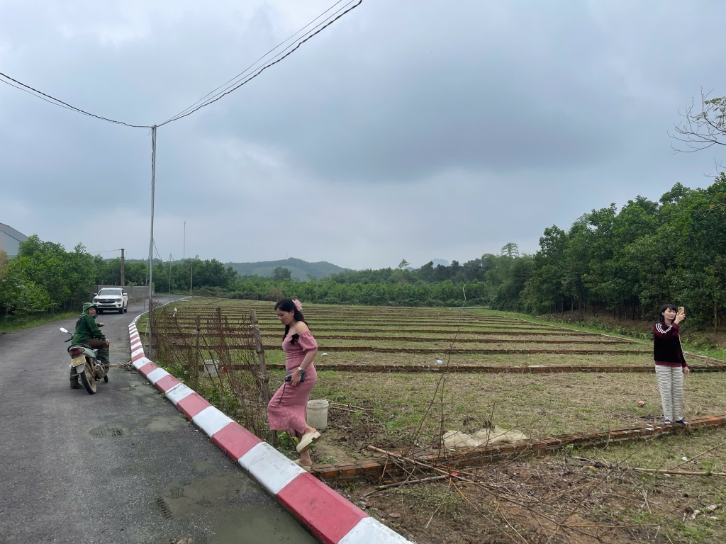 Đất thổ cư 74,5m² tại An Bình, Lạc Thủy chỉ 195 triệu - Giá hiếm có!