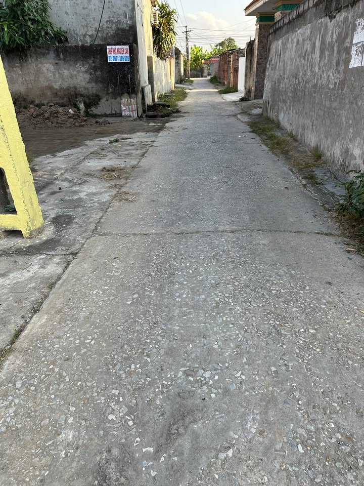 Đất thổ cư Thụy Sơn, Thái Thụy 78m² giá 1 tỷ - Cơ hội đầu tư tuyệt vời!