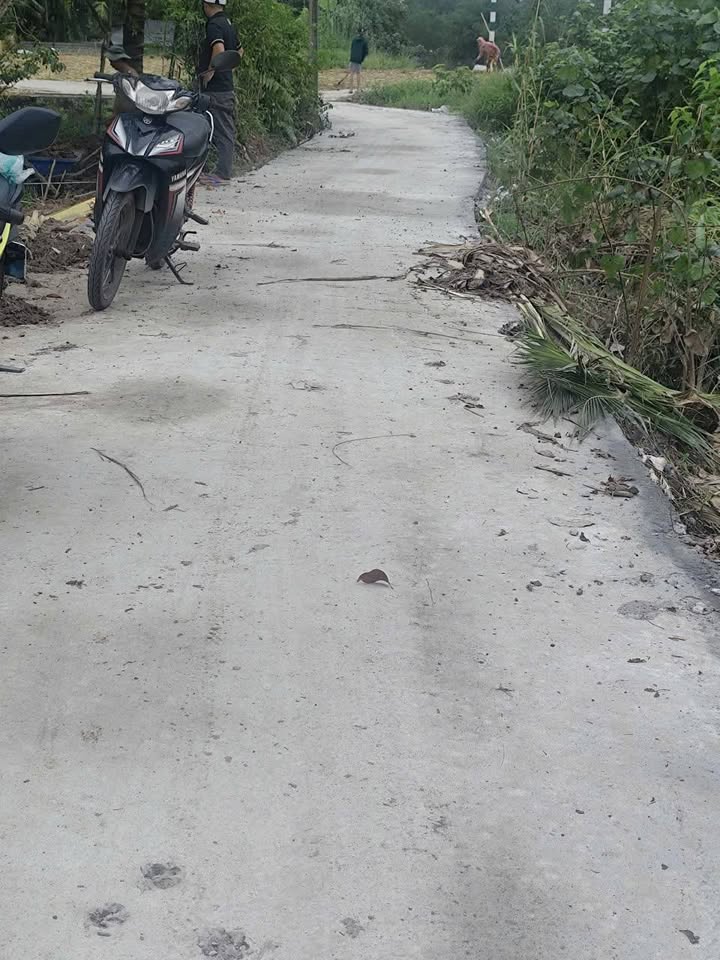 Đất nền Ngãi Tứ, Vĩnh Long 113m² giá 239 triệu - Mặt tiền view sông thoáng mát!