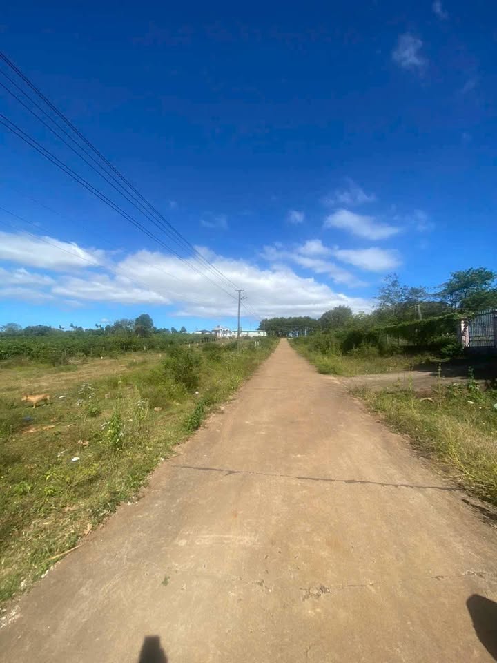 Đất hẻm Lý Chính Thắng, Phường Hội Phú, diện tích 150m², giá chỉ 300 triệu - Đầu tư sinh lời ngay!