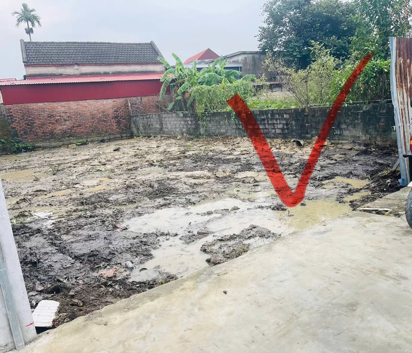 Đất thổ cư An Khánh Hải Phòng 87m² giá 1.2 tỷ - Chính chủ bán gấp!