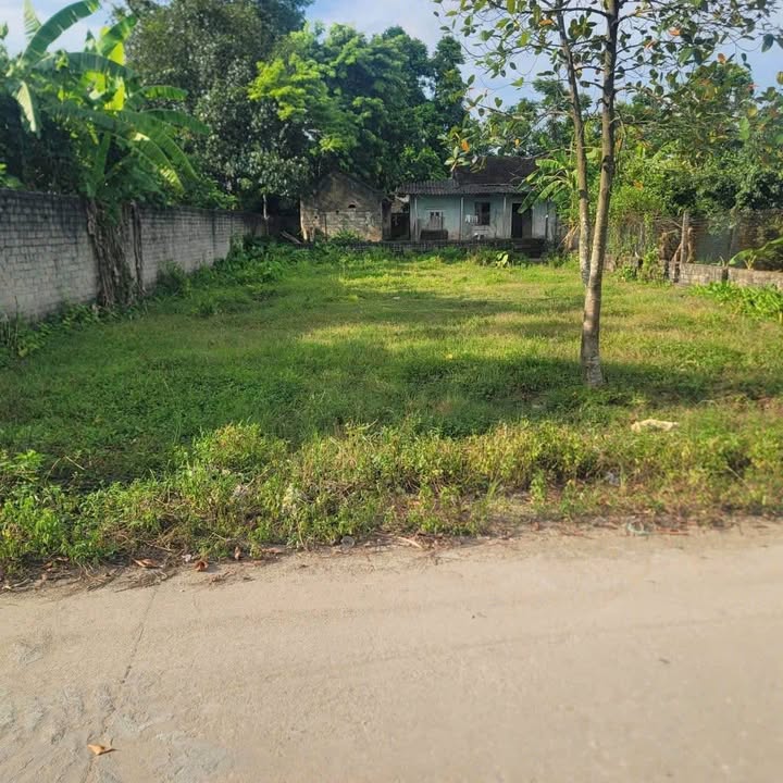 Đất nền Trục chính TDP Việt Hùng, Việt Yên 400m² giá 3 tỷ - Cơ hội đầu tư hiếm có!