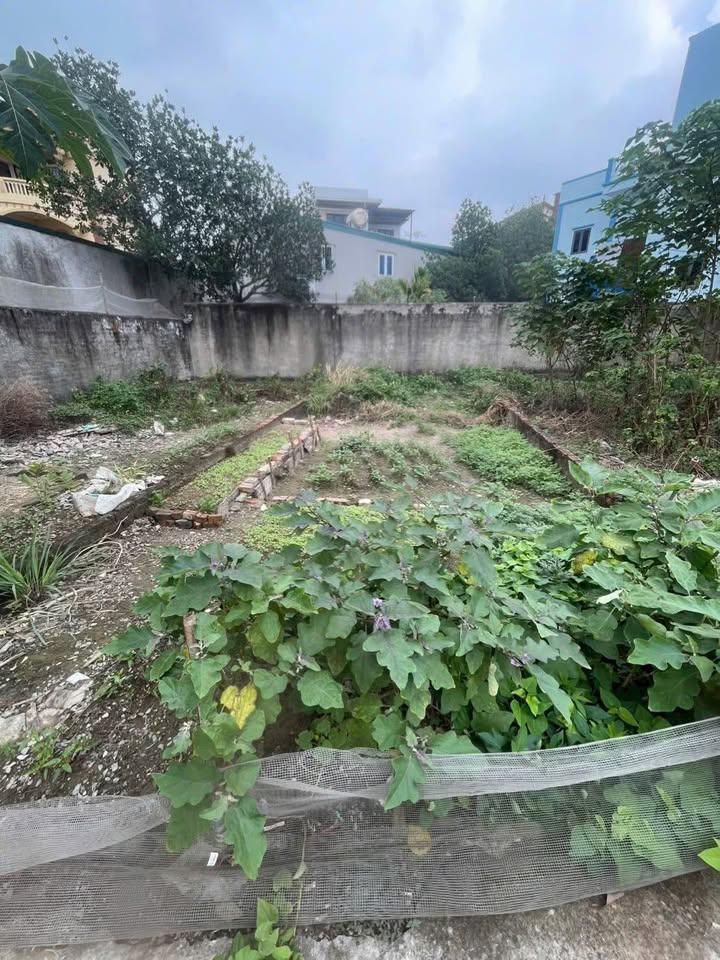 Đất Ngọc Hồi Thanh Trì 43m² giá 4.2 tỷ - Đầu tư sinh lời ngay!