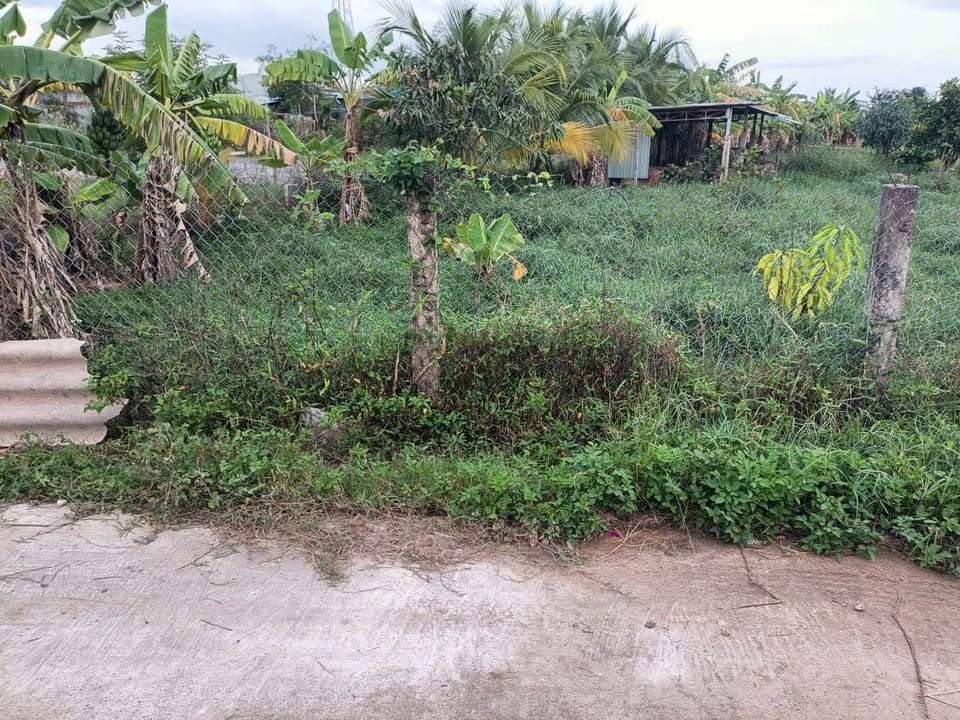 Đất thổ cư 130m² thôn Xuân Phú, Phan Thiết - Chính chủ bán gấp chỉ 700 triệu!